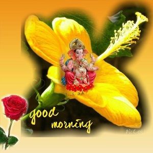 Meet your Posher, Marisol